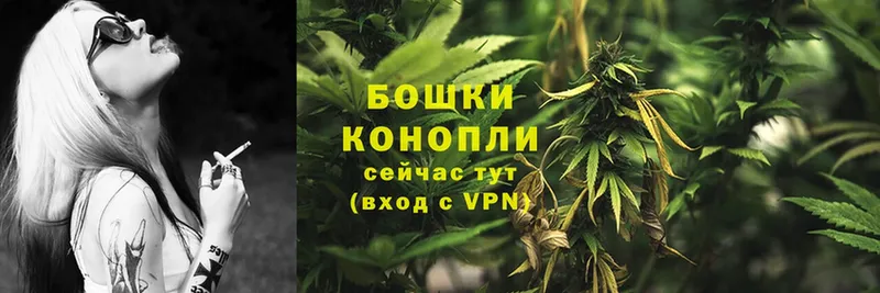 МАРИХУАНА SATIVA & INDICA  даркнет сайт  Карасук 